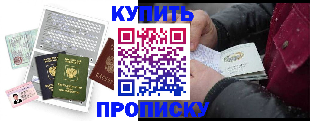 прописка поиск в Камышине